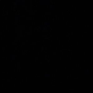 Meet your Posher, Frankie